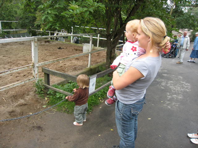 IMG_0581.JPG