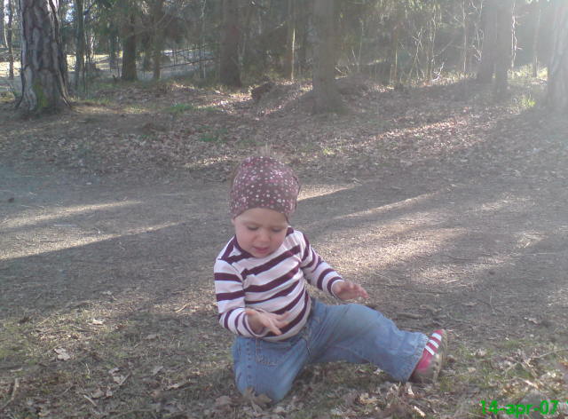 DSC00143.JPG