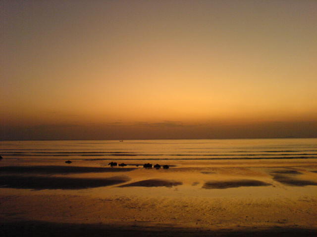 DSC00598.JPG