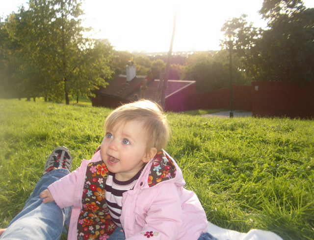 IMGP3733.JPG